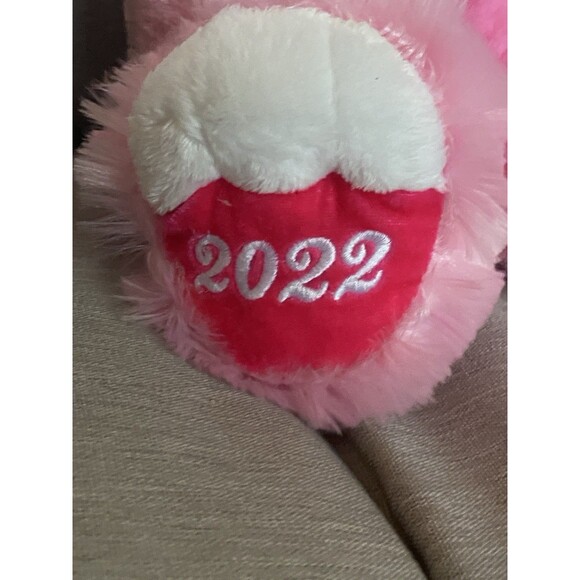 Sweetheart Teddy Bear 2022 Pink Valentines Day Plush Stuffed Animal 18” Princess - Picture 8 of 9